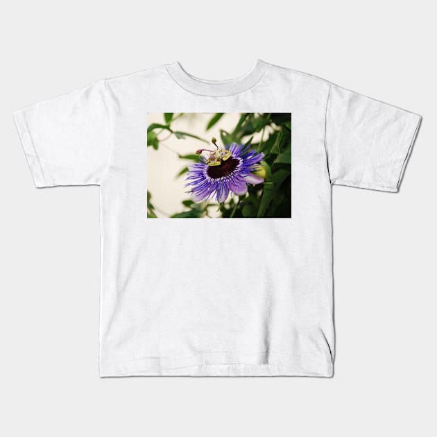 Purple Haze Passiflora Kids T-Shirt by jojobob